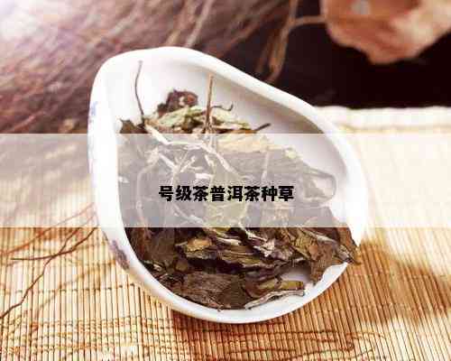 号级茶普洱茶种草