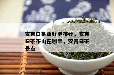 安吉白茶山野泡推荐，安吉白茶茶山在哪里，安吉白茶景点