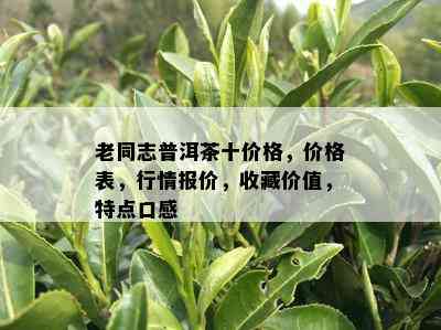 老同志普洱茶十价格，价格表，行情报价，收藏价值，特点口感