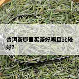 普洱茶哪里买茶好喝且比较好？