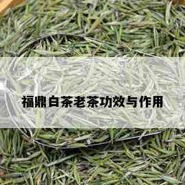 福鼎白茶老茶功效与作用