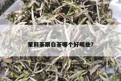 茉莉茶跟白茶哪个好喝些？