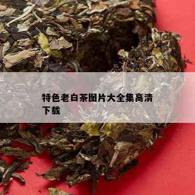 特色老白茶图片大全集高清下载