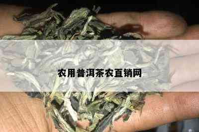 农用普洱茶农直销网