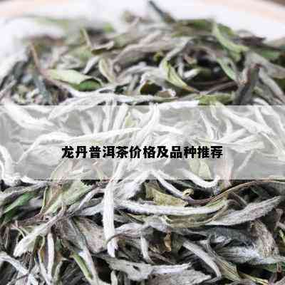 龙丹普洱茶价格及品种推荐