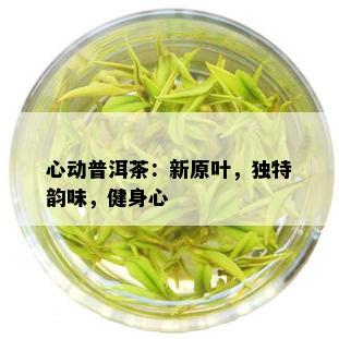 心动普洱茶：新原叶，独特韵味，健身心