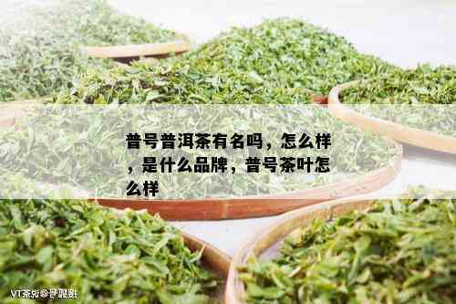 普号普洱茶有名吗，怎么样，是什么品牌，普号茶叶怎么样