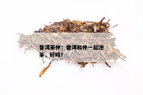 普洱茶仲：普洱和仲一起泡茶，好吗？