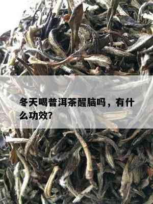 冬天喝普洱茶醒脑吗，有什么功效？