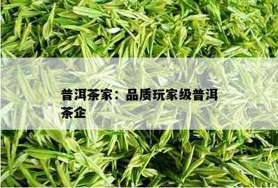 普洱茶家：品质玩家级普洱茶企