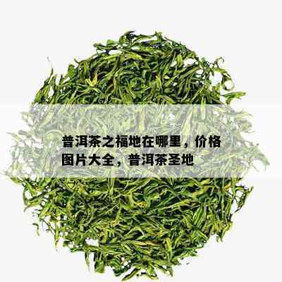 普洱茶之福地在哪里，价格图片大全，普洱茶圣地