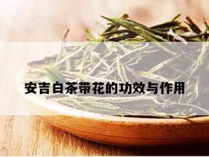 安吉白茶带花的功效与作用