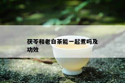 茯苓和老白茶能一起煮吗及功效