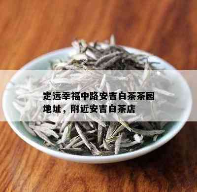 定远幸福中路安吉白茶茶园地址，附近安吉白茶店