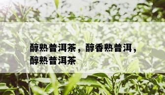 醇熟普洱茶，醇香熟普洱，醇熟普洱茶