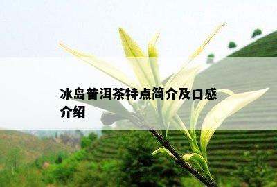 冰岛普洱茶特点简介及口感介绍