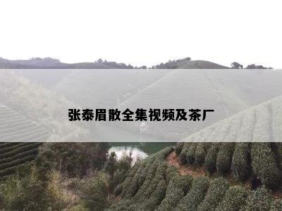 张泰眉散全集视频及茶厂