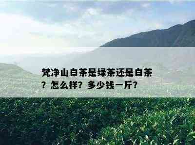 梵净山白茶是绿茶还是白茶？怎么样？多少钱一斤？