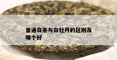 普通白茶与白牡丹的区别及哪个好