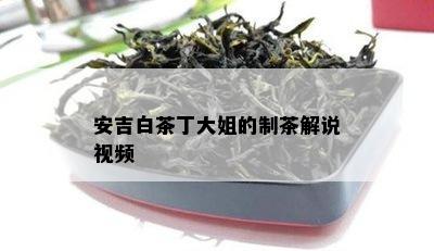 安吉白茶丁大姐的制茶解说视频