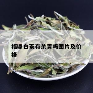 福鼎白茶有杀青吗图片及价格