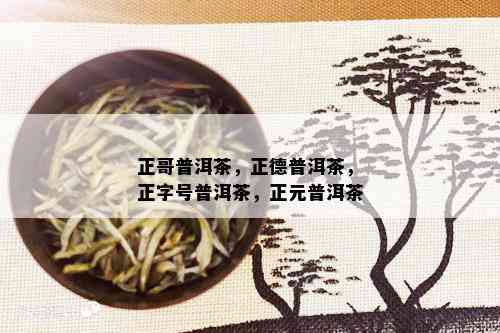 正哥普洱茶，正德普洱茶，正字号普洱茶，正元普洱茶