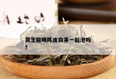 灵芝能喝陈皮白茶一起泡吗？