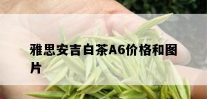 雅思安吉白茶A6价格和图片