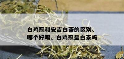 白鸡冠和安吉白茶的区别、哪个好喝、白鸡冠是白茶吗