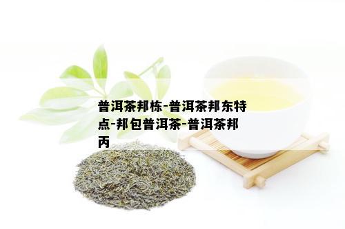 普洱茶邦栋-普洱茶邦东特点-邦包普洱茶-普洱茶邦丙