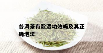 普洱茶有除湿功效吗及其正确泡法