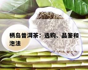 柄岛普洱茶：选购、品鉴和泡法