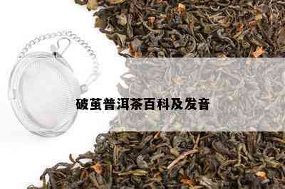 破茧普洱茶百科及发音