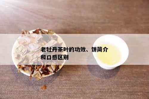 老牡丹茶叶的功效、饼简介和口感区别