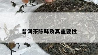 普洱茶陈味及其重要性