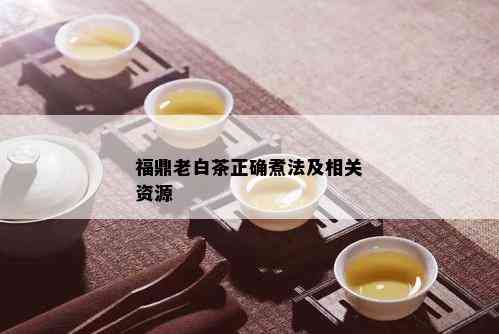 福鼎老白茶正确煮法及相关资源