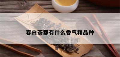 春白茶都有什么香气和品种