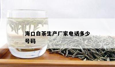 海口白茶生产厂家电话多少号码