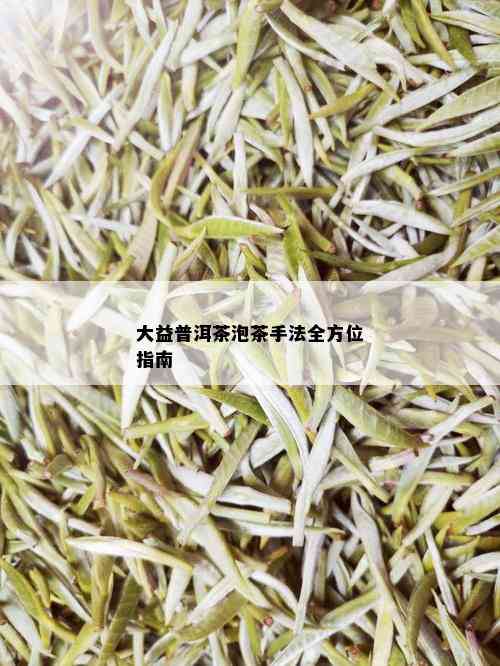 大益普洱茶泡茶手法全方位指南