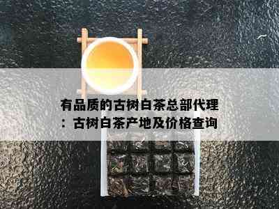 有品质的古树白茶总部代理：古树白茶产地及价格查询