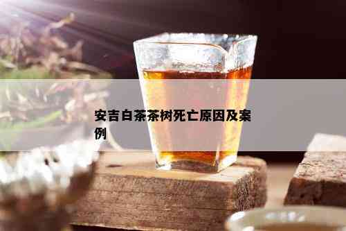 安吉白茶茶树死亡原因及案例