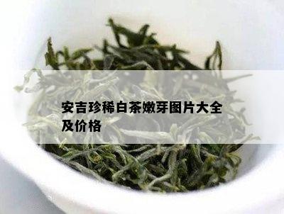 安吉珍稀白茶嫩芽图片大全及价格