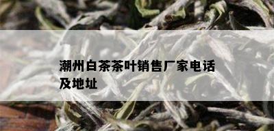 潮州白茶茶叶销售厂家电话及地址