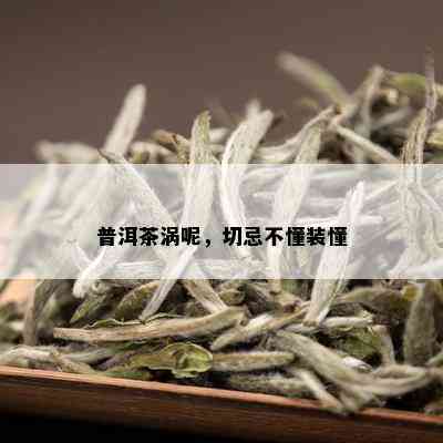 普洱茶涡呢，切忌不懂装懂