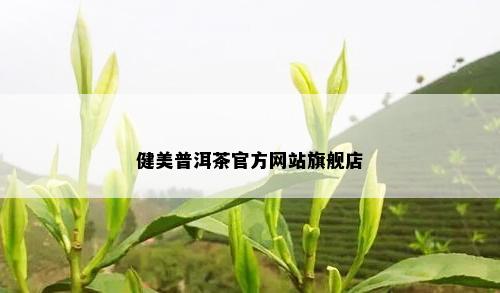 健美普洱茶官方网站旗舰店