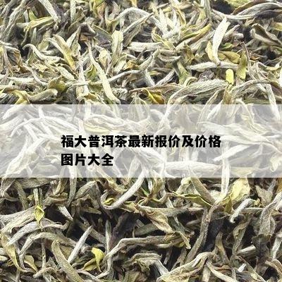 福大普洱茶最新报价及价格图片大全
