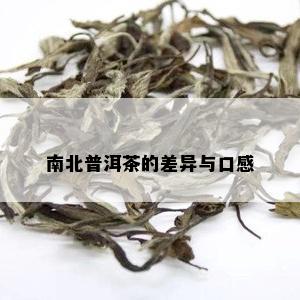 南北普洱茶的差异与口感