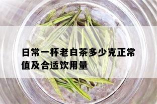 日常一杯老白茶多少克正常值及合适饮用量