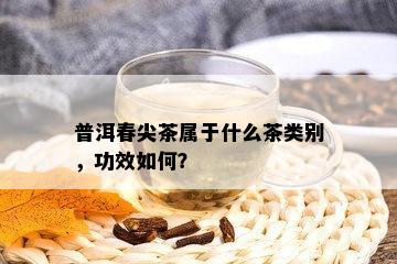 普洱春尖茶属于什么茶类别，功效如何？