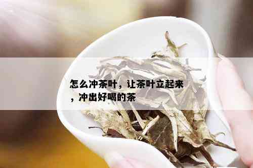 怎么冲茶叶，让茶叶立起来，冲出好喝的茶